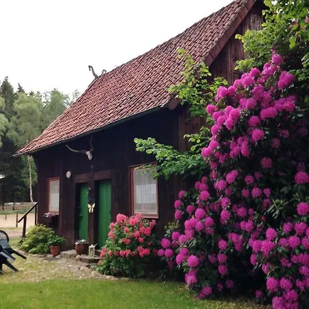 Reiterhof Winandy Villa Wietzendorf Exterior photo