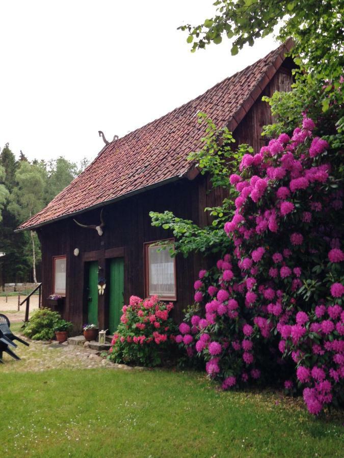 Ferienhaus Reiterhof Winandy