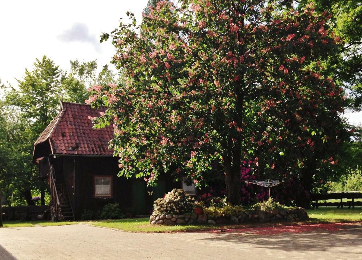 Reiterhof Winandy * Wietzendorf